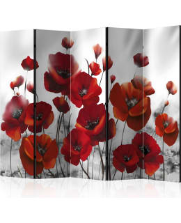 ARTGEIST A1-PARAVENT462 5-OS SERMI Main Image