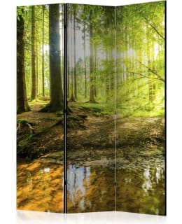 ARTGEIST A1-PARAVENT204 3-OS SERMI Main Image