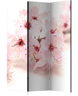 ARTGEIST A1-PARAVENT947 3-OS SERMI Main Image