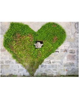 Artgeist A1-XLFT43 FOTOTAPETTI Main Image