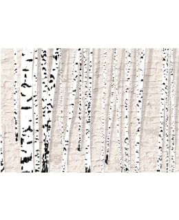 Artgeist A1-4XLFT424 FOTOTAPETTI Main Image