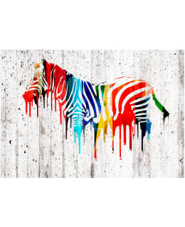 Artgeist A1-2XLFT576 FOTOTAPETTI Main Image