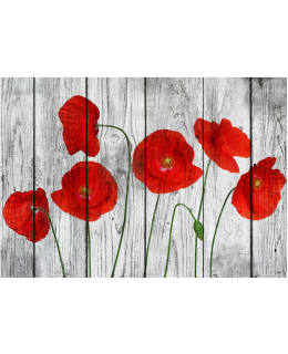 Artgeist A1-LFT621 FOTOTAPETTI Main Image