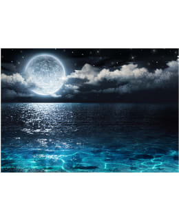 Artgeist A1-MFT646 FOTOTAPETTI Main Image