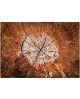 Artgeist A1-XLFT738 FOTOTAPETTI Main Image