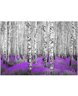 Artgeist A1-MNEW010575 FOTOTAPETTI Main Image