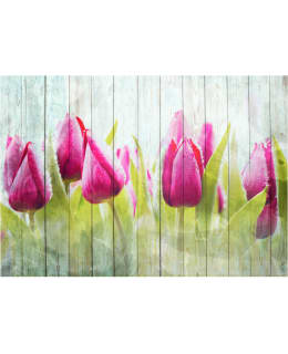 Artgeist A1-XLNEW010517 FOTOTAPETTI Main Image