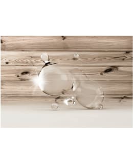 Artgeist A1-XXLNEW011497 FOTOTAPETTI Main Image