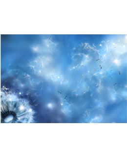 Artgeist A1-MNEW010616 FOTOTAPETTI Main Image