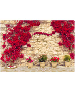 Artgeist A1-4XLNEW010662 FOTOTAPETTI Main Image