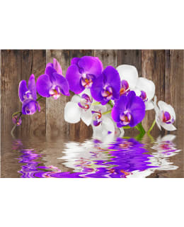 Artgeist A1-MNEW010721 FOTOTAPETTI Main Image