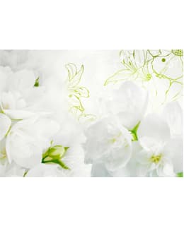 Artgeist A1-XXLNEW010738 FOTOTAPETTI Main Image