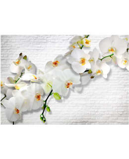 Artgeist A1-XXLNEW010983 FOTOTAPETTI Main Image