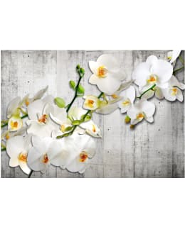 Artgeist A1-MNEW011096 FOTOTAPETTI Main Image