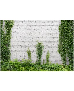 Artgeist A1-LNEW011170 FOTOTAPETTI Main Image