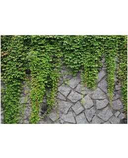 Artgeist A1-XXLNEW011235 FOTOTAPETTI Main Image