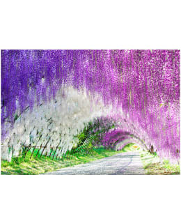 Artgeist A1-XXLNEW011241 FOTOTAPETTI Main Image