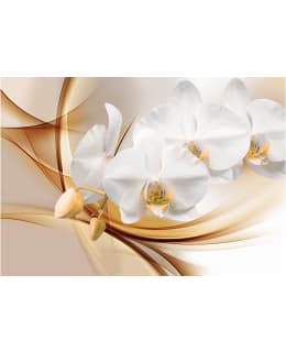 Artgeist A1-XLNEW011407 FOTOTAPETTI Main Image