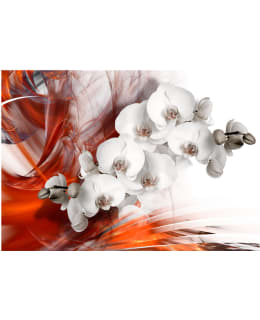 Artgeist A1-4XLNEW011422 FOTOTAPETTI Main Image