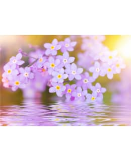 Artgeist A1-XLNEW011474 FOTOTAPETTI Main Image