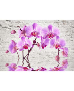 Artgeist A1-SNEW011503 FOTOTAPETTI Main Image