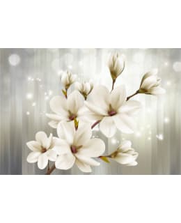 Artgeist A1-3XLFT602 FOTOTAPETTI Main Image