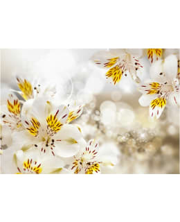 Artgeist A1-SFT767 FOTOTAPETTI Main Image