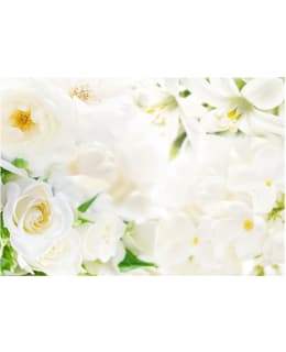 Artgeist A1-SNEW010930 FOTOTAPETTI Main Image