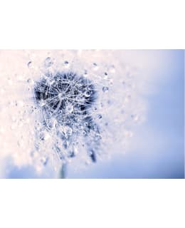 ARTGEIST A1-SFT226 FOTOTAPETTI Main Image