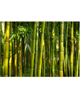 Artgeist A1-XLFT747 FOTOTAPETTI Main Image