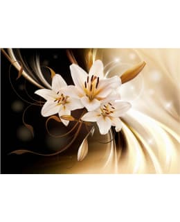 Artgeist A1-MFT324 FOTOTAPETTI Main Image