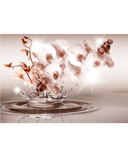 Artgeist A1-MFT663 FOTOTAPETTI Main Image