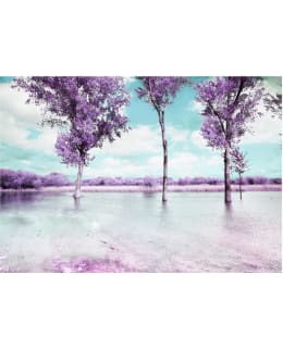 Artgeist A1-SNEW010686 FOTOTAPETTI Main Image