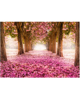 Artgeist A1-LNEW010786 FOTOTAPETTI Main Image