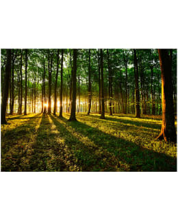 Artgeist A1-MNEW010833 FOTOTAPETTI Main Image