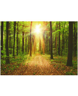 Artgeist A1-LFT403 FOTOTAPETTI Main Image