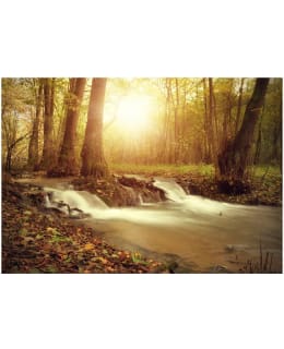 Artgeist A1-2XLFT735 FOTOTAPETTI Main Image