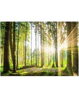 Artgeist A1-SFT794 FOTOTAPETTI Main Image