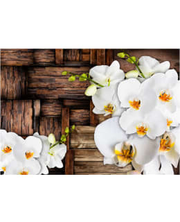 Artgeist A1-4XLNEW010875 FOTOTAPETTI Main Image