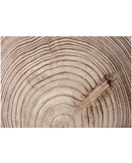 Artgeist A1-LNEW011210 FOTOTAPETTI Main Image