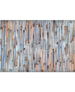 Artgeist A1-LFT535 FOTOTAPETTI Main Image