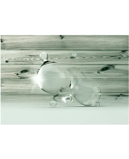 Artgeist A1-LNEW011499 FOTOTAPETTI Main Image