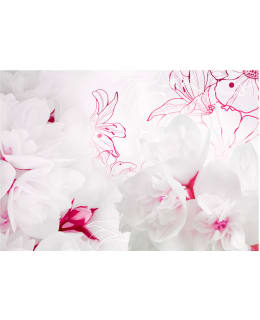 Artgeist A1-NEW010739 FOTOTAPETTI Main Image