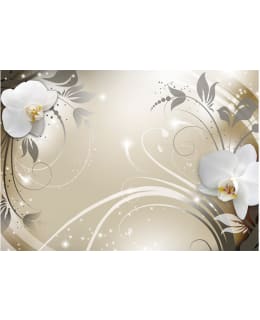 Artgeist A1-XXLNEW010859 FOTOTAPETTI Main Image