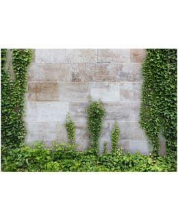 Artgeist A1-XLNEW011171 FOTOTAPETTI Main Image