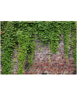 Artgeist A1-MNEW011236 FOTOTAPETTI Main Image