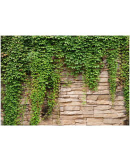 Artgeist A1-XXLNEW011237 FOTOTAPETTI Main Image