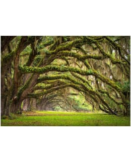 Artgeist A1-XXLNEW011243 FOTOTAPETTI Main Image