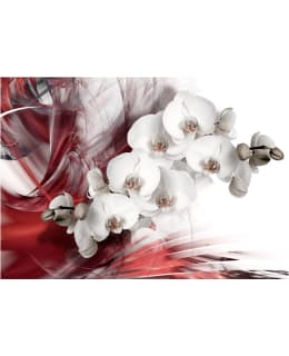 Artgeist A1-XLNEW011424 FOTOTAPETTI Main Image