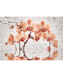 Artgeist A1-4XLNEW011504 FOTOTAPETTI Main Image